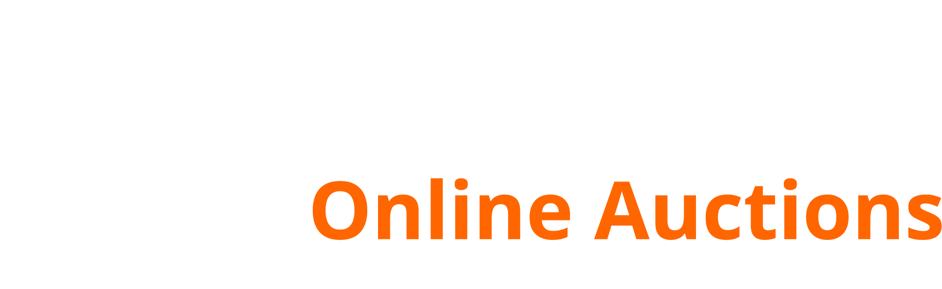 VNM Auctions